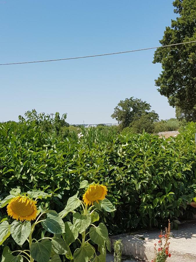 Trulli Della Masseria Staffone Alberobello Bagian luar foto